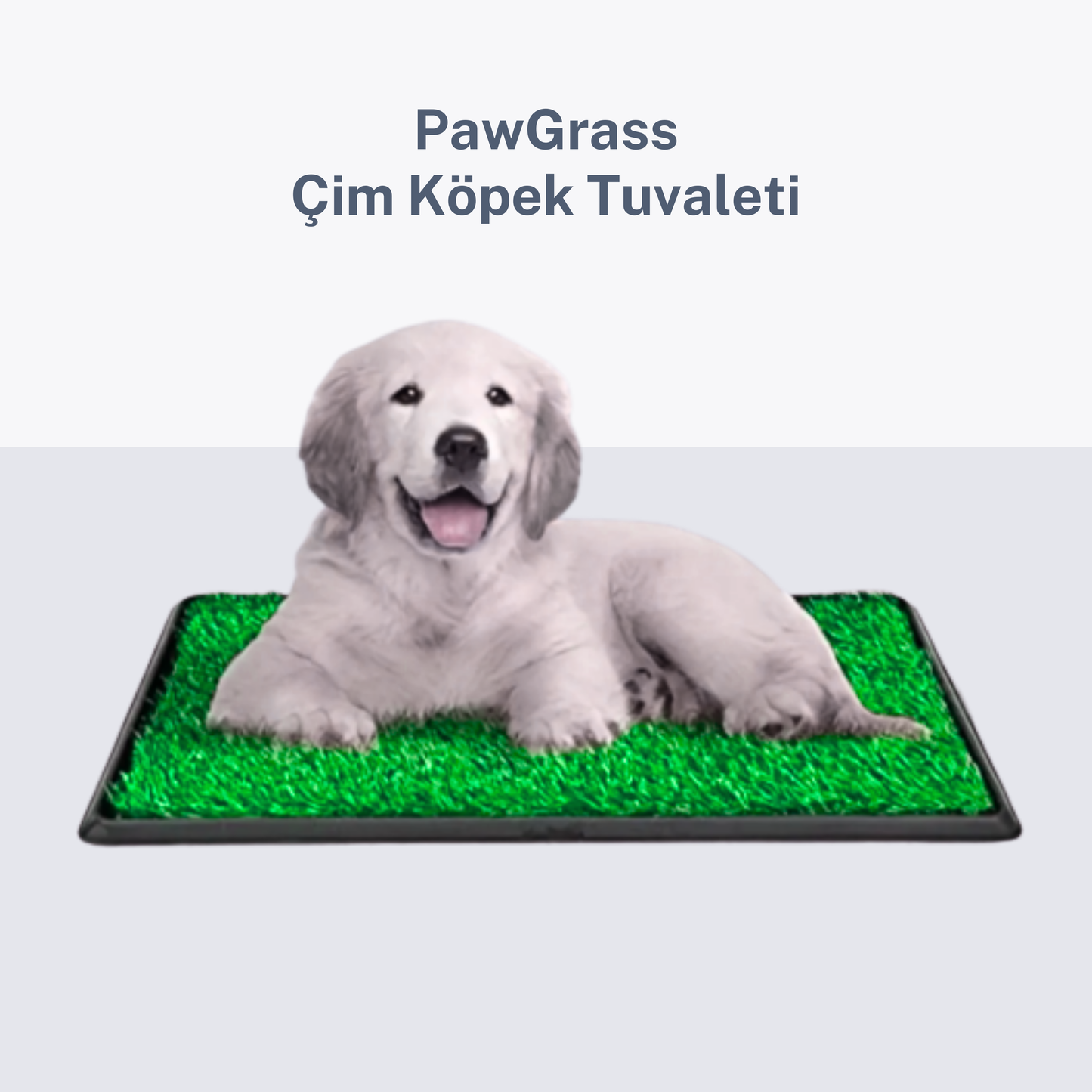 PawGrass™ Çim Pedi – Doğal Hissiyatlı Köpek Tuvaleti
